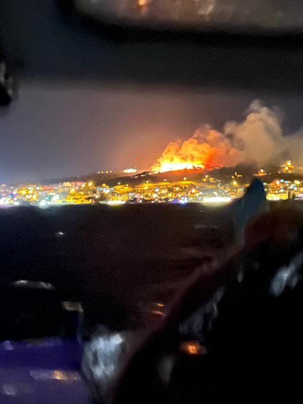 Ayvalık'ta Cennet Tepesi yakınlarında orman yangını