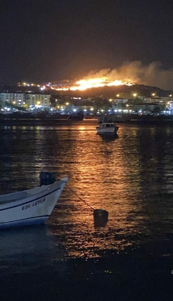 Ayvalık'ta Cennet Tepesi yakınlarında orman yangını