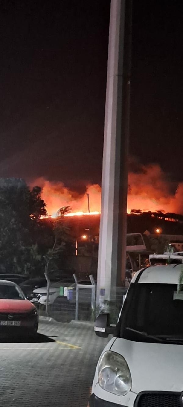 Ayvalık'ta Cennet Tepesi yakınlarında orman yangını