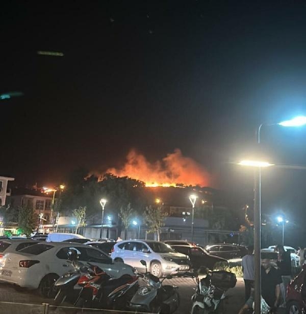 Ayvalık'ta Cennet Tepesi yakınlarında orman yangını