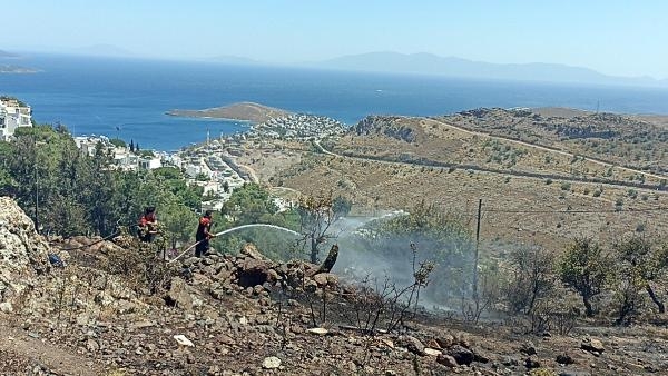 Bodrum'da otluk yangını; 5 hektar alan yandı