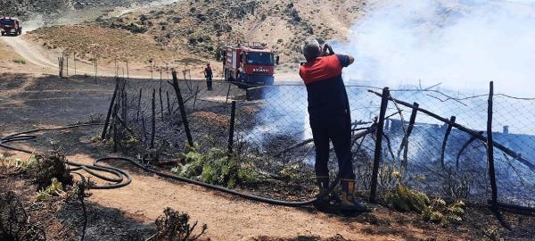 Çanakkale'de ağılda yangın; 150 oğlak öldü