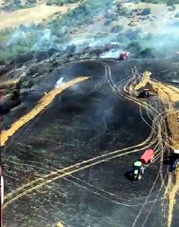 Çanakkale'de tarım arazisinde yangın; 1 hektar alan kül oldu