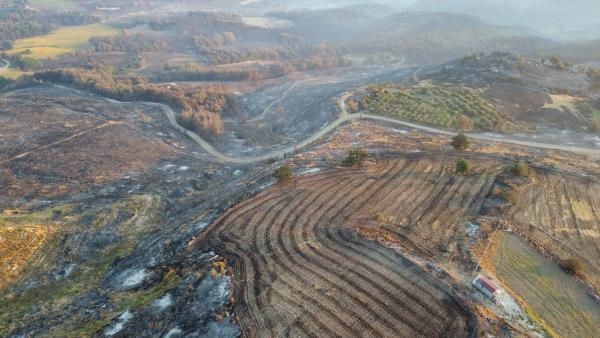 Çanakkale'deki orman yangınında 2 bin 500 hektar alan zarar gördü
