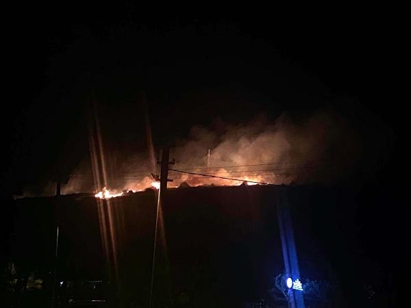 Çeşme'deki yangını çıkaran kişinin görüntüleri