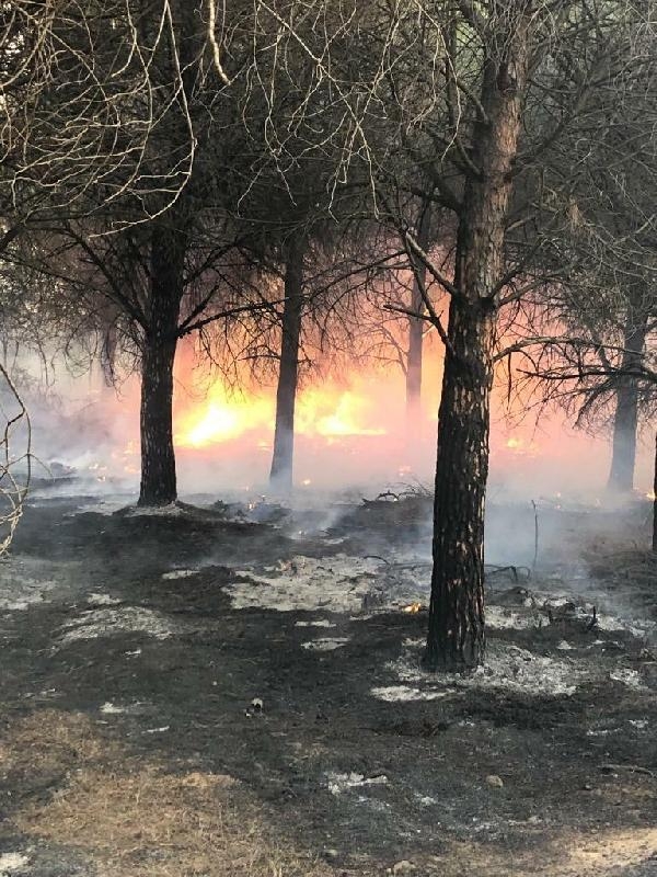 Gökçeada yangını, 17 saat sonra kontrol altında