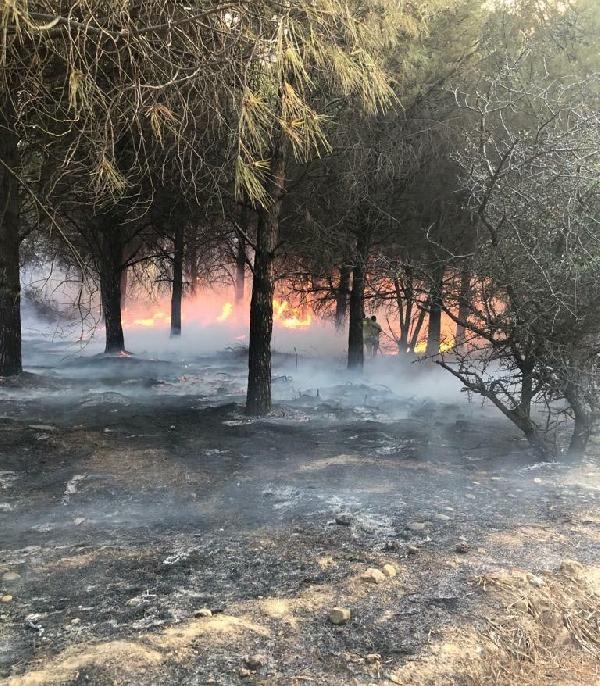 Gökçeada yangını, 17 saat sonra kontrol altında