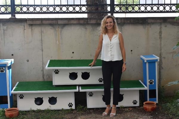 İzmir Adliyesi'nin kedilerine ev