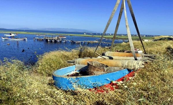 İzmir Körfezi'nde kaçak avlanan 1,4 ton midye ele geçirildi