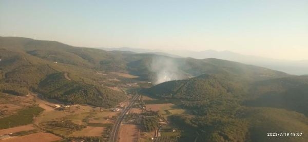 İzmir Selçuk'ta orman yangını başladı