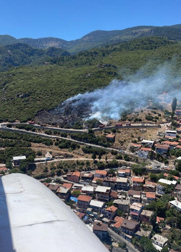 İzmir'de 3 yangında 25 hektar alan zarar gördü