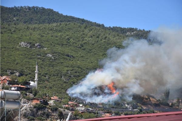 İzmir'de 3 yangında 25 hektar alan zarar gördü