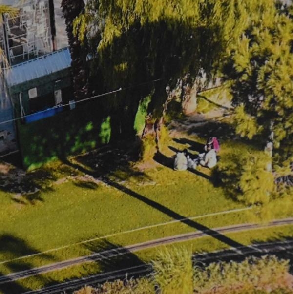 İzmir'de tuvalet davası