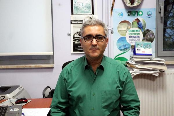 İztuzu Plajı'nda rekor caretta yuvası