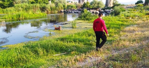 Kayıp ekonomisti gören olduğu iddia edildi