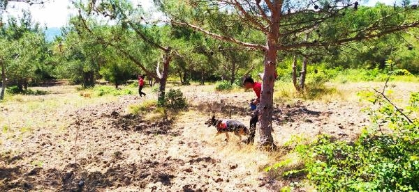 Kayıp ekonomisti gören olduğu iddia edildi
