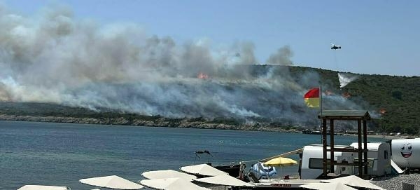 Orman yangını mangal ateşinden çıkmış