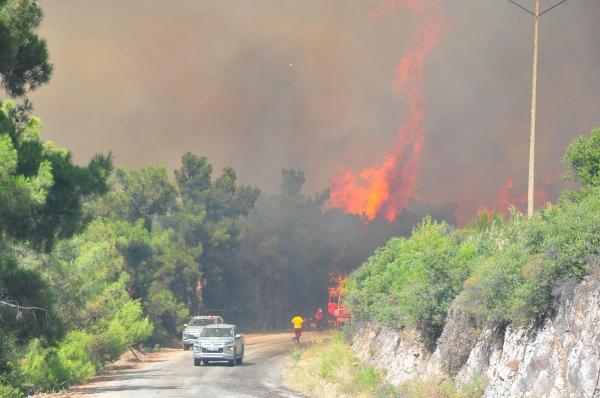 Manisa'daki orman yangınını  'Tarzan' çözecek
