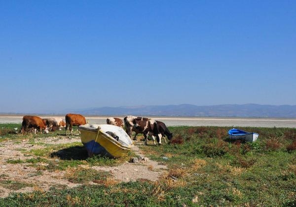 Marmara Gölü'nü kurtaracak proje hazır, ihalesi aralık ayında