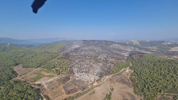 Milas'taki orman yangınında 170 hektar alan yandı, Nefes 72 sorti yaptı