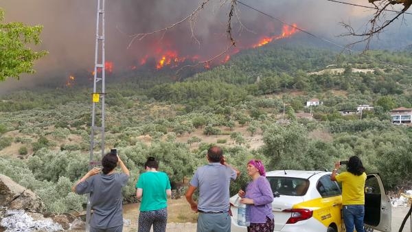 Muğla'daki yangınların 2'nci yılında yanan alanlar yeşeriyor