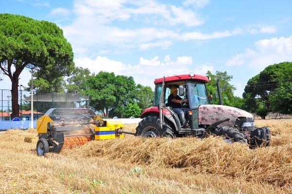 Okul müdürü buğday ekip gelirini öğrencileri için harcıyor