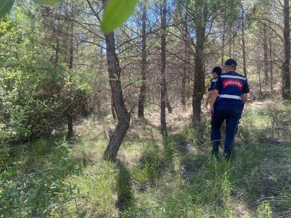 Orman yangınlarına karşı devriye görevi