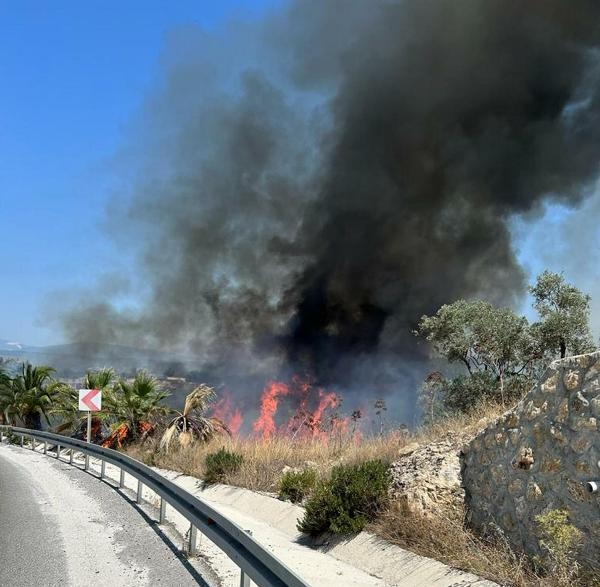 Otomobilinden attığı torpil, 160 hektarı kül etmiş