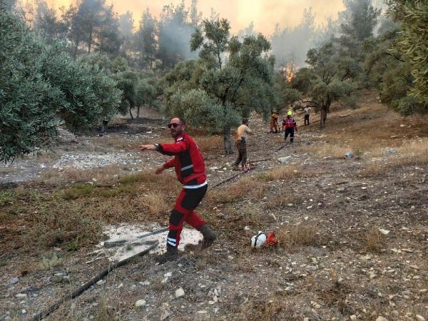 Otomobilinden attığı torpil, 160 hektarı kül etmiş
