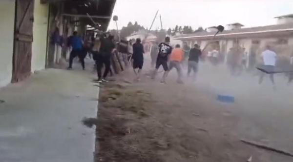 Şirinyer Hipodromu'nda meydan savaşı kameraya yansıdı