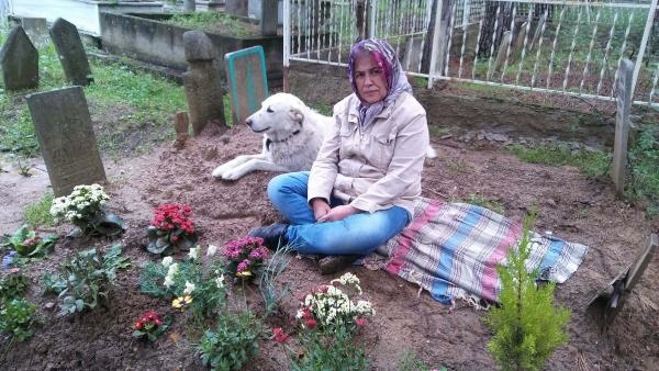 Sokak köpeği 'Pamuk'un vefası