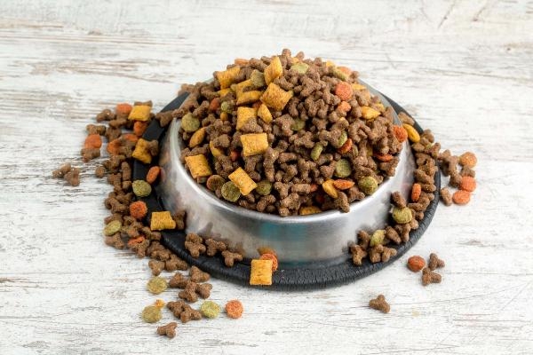 Türkiye'nin kedi-köpek maması ihracatında hedef 100 milyon dolar