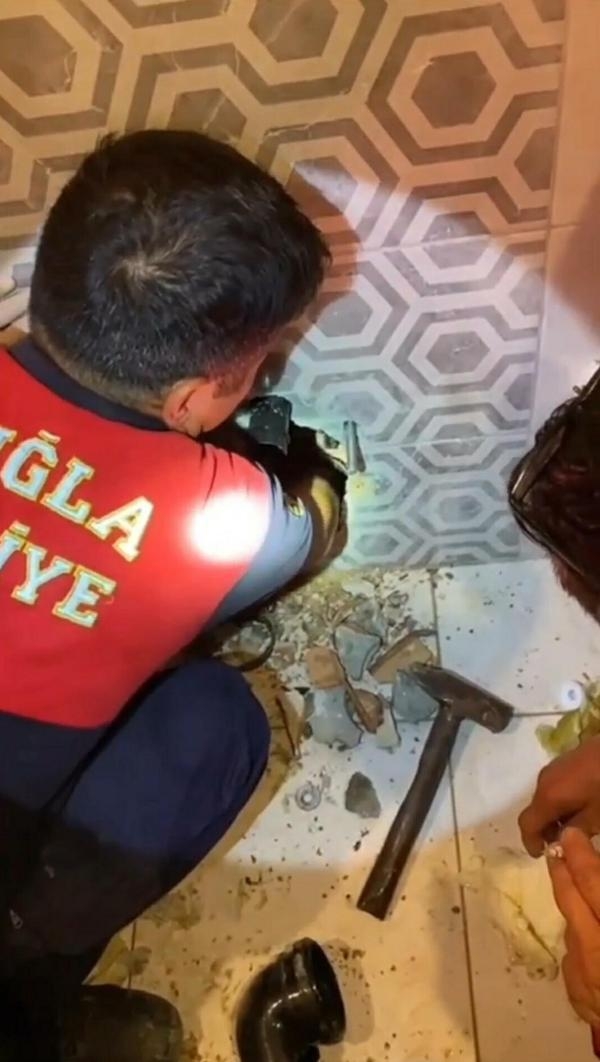 Tuvaletin gider borusuna sıkışan kedi görüntüleme cihazıyla kurtarıldı