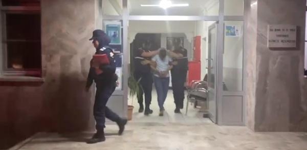 Ve zeytin tankında çıplak adam tutuklandı