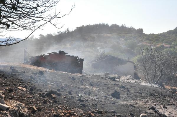 Yanan evleri için ağladılar