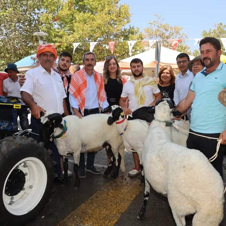 Urla'da bağ bozumu zamanı