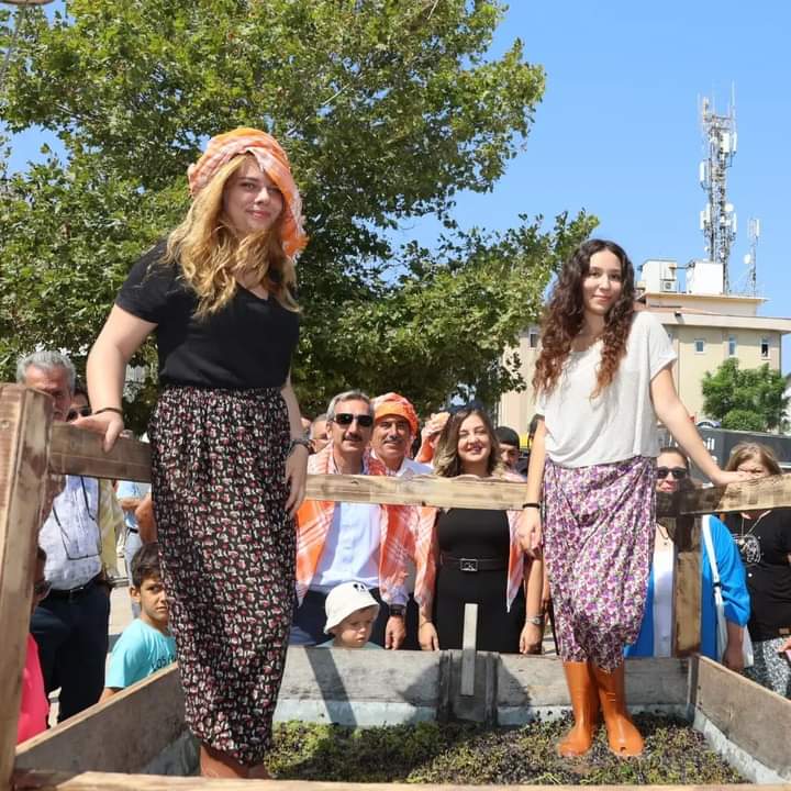 Urla'da bağ bozumu zamanı
