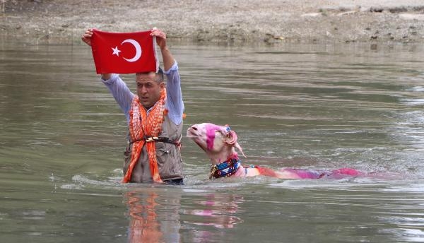 8 asırlık gelenek; koyunları nehirden geçirdiler