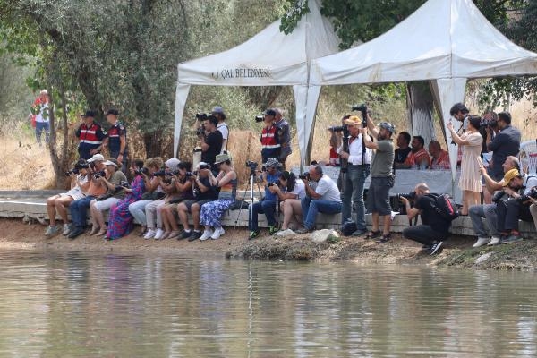 8 asırlık gelenek; koyunları nehirden geçirdiler
