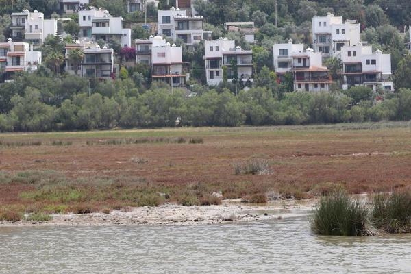 80 kuş ve balık türü var! 'Gölköy Sulak Alan tescil edildi