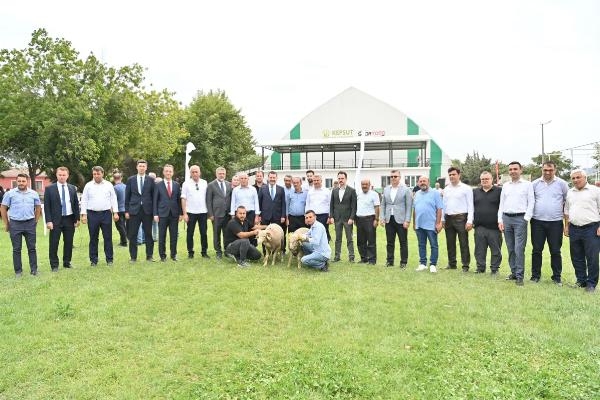 Balıkesir'de 85 üreticiye 585 küçükbaş desteği