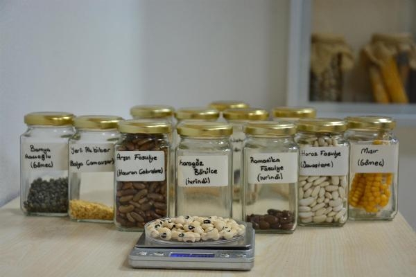 Balıkesir'de belediyeden ata tohumlarına sahip çıkılacak proje