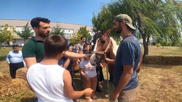Balıkesir'de down sendromlu çocuklara atlı terapi etkinliği
