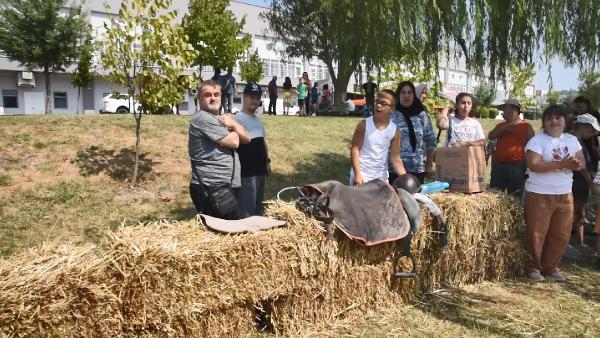 Balıkesir'de down sendromlu çocuklara atlı terapi etkinliği