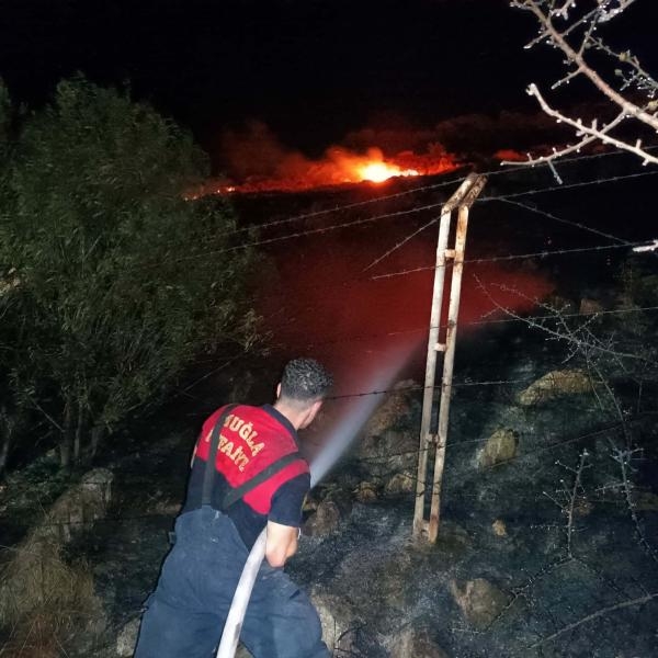 Bodrum'da maki yangını: 15 dönüm alan zarar gördü