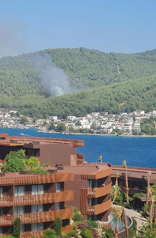 Bodrum'da orman yangını