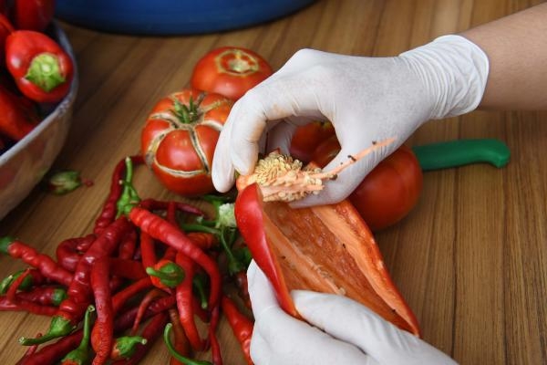 Bornova Belediyesi, 100 çeşit atalık tohumu halka dağıtacak