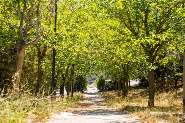 Bornova'da yapılan Meriç Yaşayan Parkı açılışa hazırlanıyor
