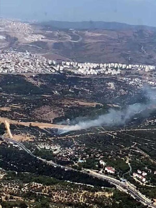Bornova'daki yangın 2 uçakla kontrol altına alındı