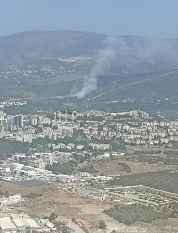 Bornova'daki yangın 2 uçakla kontrol altına alındı